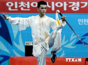 ASIAD 17 pluie de médailles de bronze pour le Vietnam